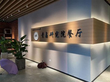 導視系統